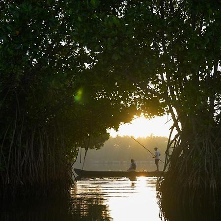 Kalloos Island Backwater Resort Kollam Eksteriør bilde