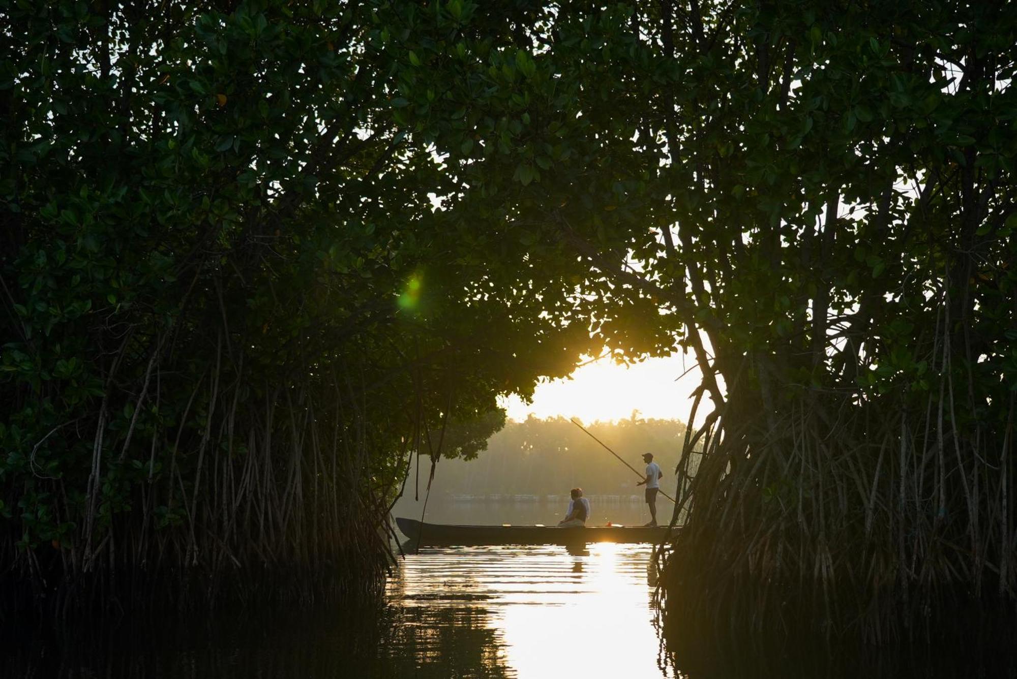 Kalloos Island Backwater Resort Kollam Eksteriør bilde